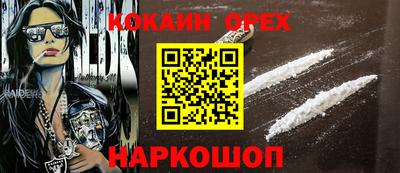 крисы Краснодар