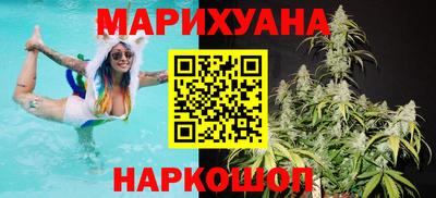 крисы Краснодар