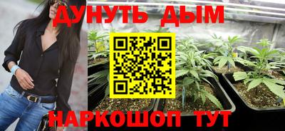 крисы Краснодар